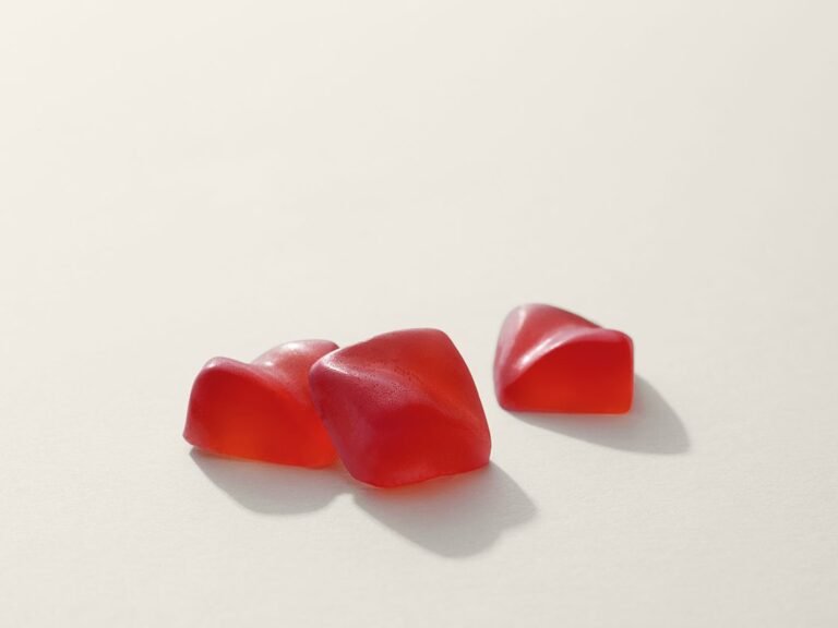 Savor the Celebration! | Camino Holiday Punch Gummies | Limited Edition - Image 2