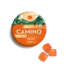 Camino Fresh Squeezed CBG Gummies