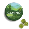Camino Green Apple THCV Gummies