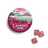 Camino Sour Watermelon 5mg THC Spritz - Camino Gummy Store