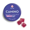 Camino Wild Berry High Dose Gummies