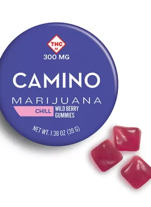 Camino Wild Berry High Dose Gummies