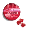 Camino Wild Cherry CBG Exhilarate Gummies