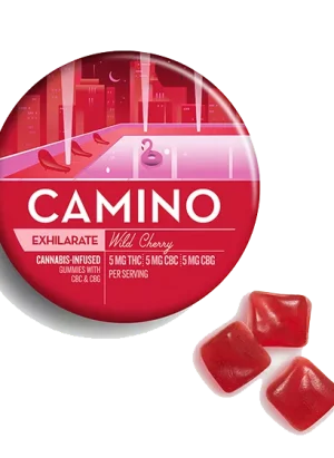 Camino Wild Cherry CBG Exhilarate Gummies