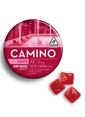 Camino Wild Cherry Excite Gummies - Camino Gummy Store